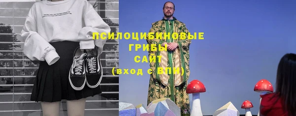 бошки Нефтегорск