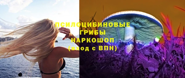 стафф Апатиты