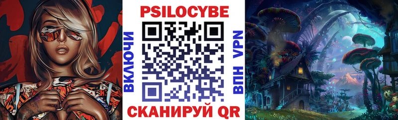 купить наркоту Ливны Псилоцибиновые грибы мицелий